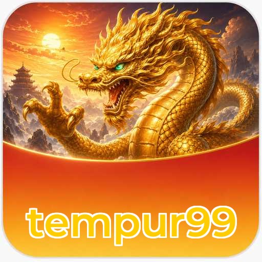 Version History tempur99